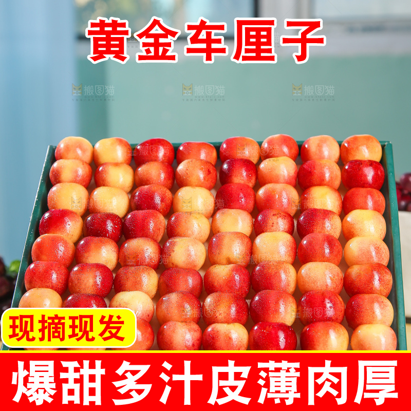 浅底上的黄金车厘子