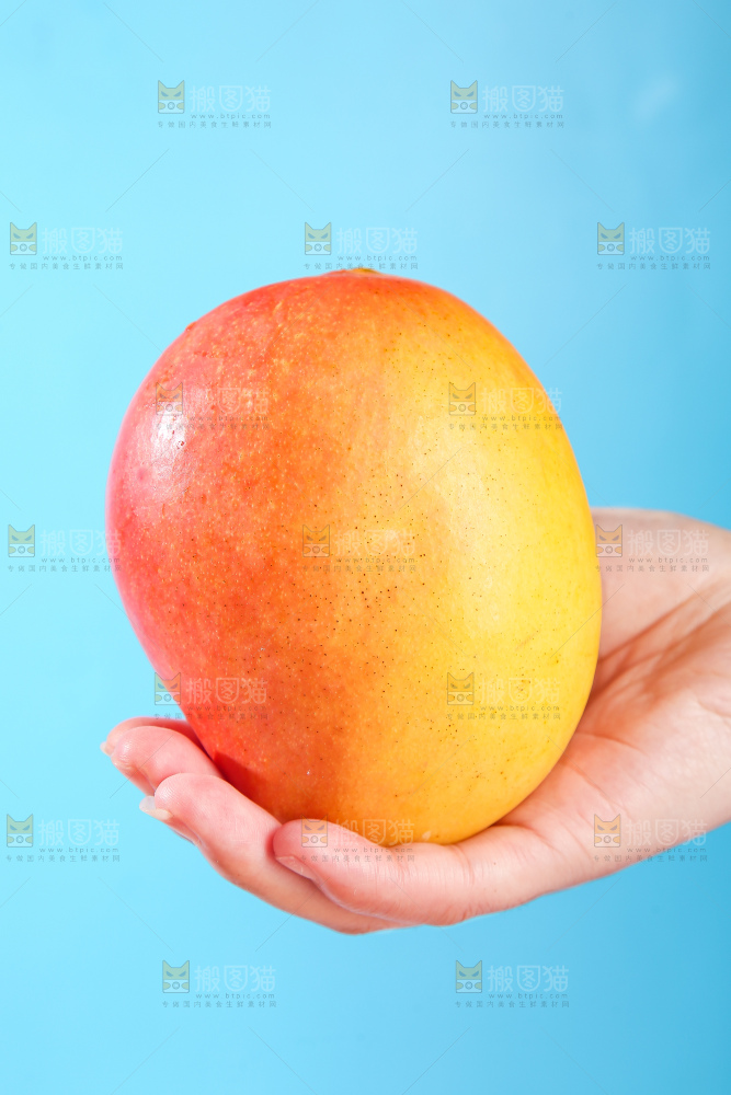 黄金澳芒
