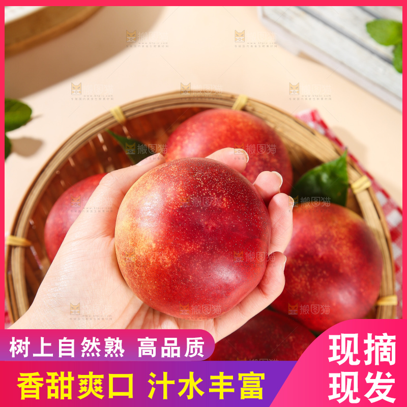 浅底上的澳洲油桃