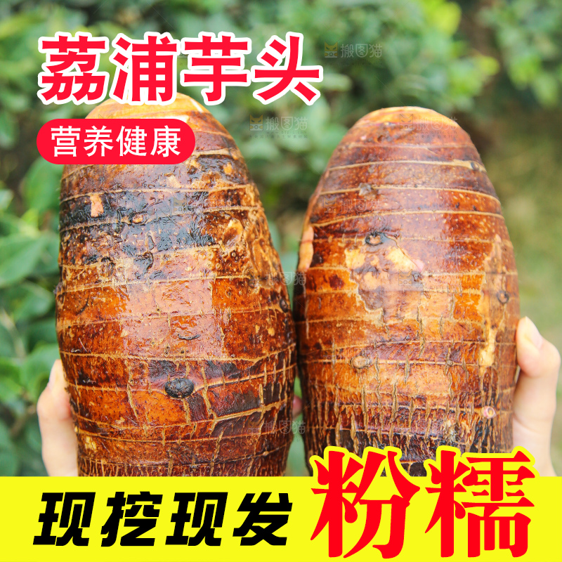 手里拿着荔浦芋头
