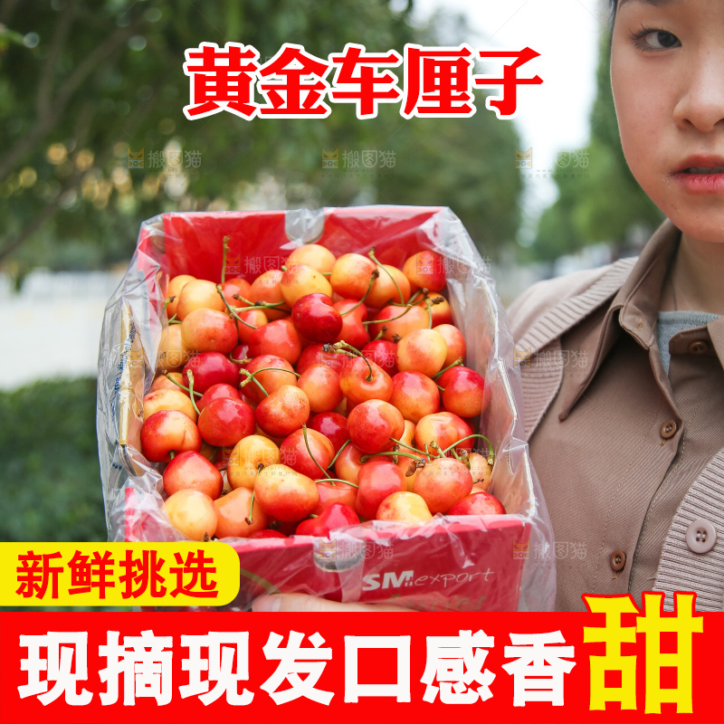 手里拿着黄金车厘子