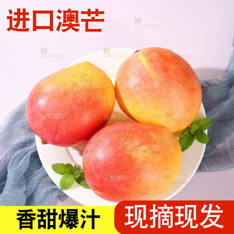 浅底上的澳芒