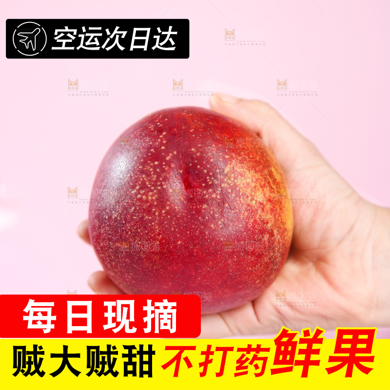 浅底上的澳洲油桃