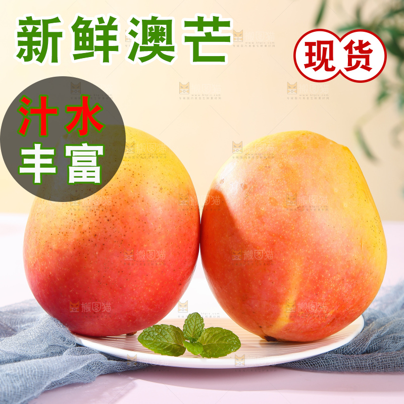 浅底上的澳芒