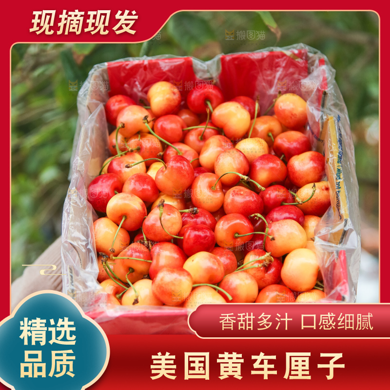 手里拿着黄金车厘子