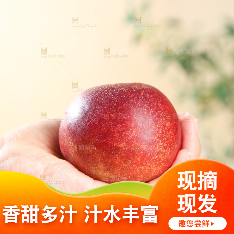 浅底上的澳洲油桃