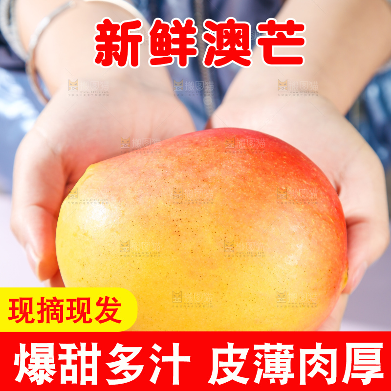 浅底上的澳芒