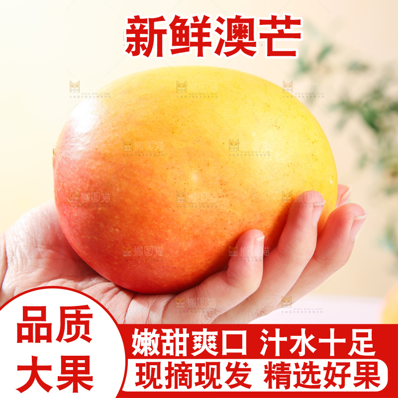 浅底上的澳芒