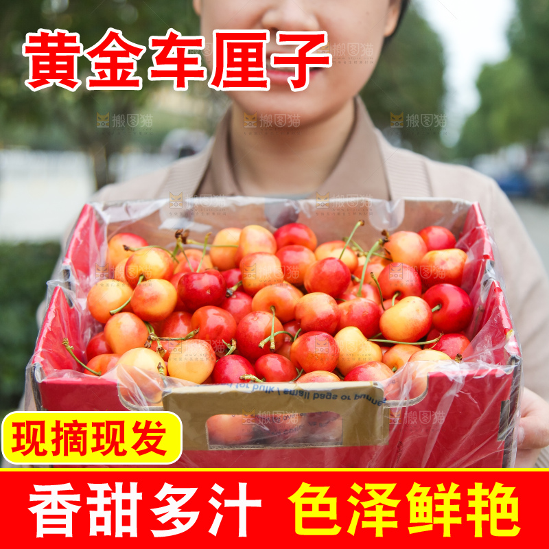手里拿着黄金车厘子
