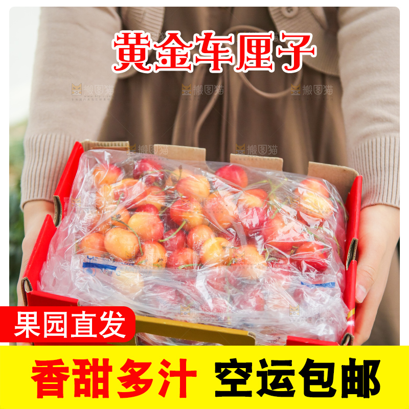 手里拿着黄金车厘子