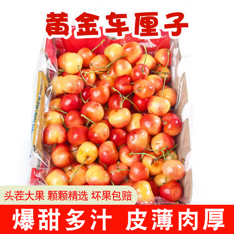 白底上的黄金车厘子