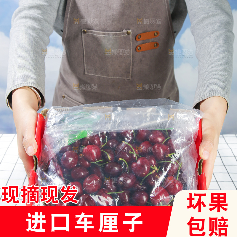 浅底上的智利车厘子