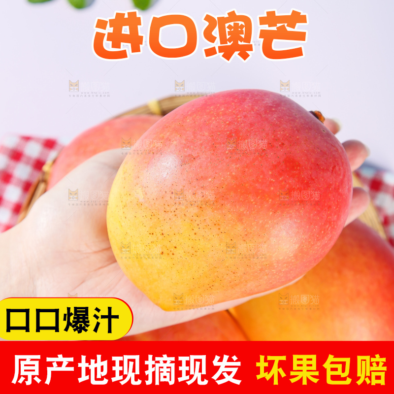 浅底上的澳芒