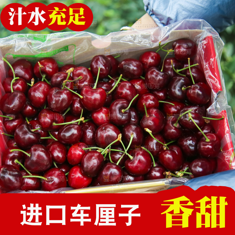 手里拿着智利车厘子