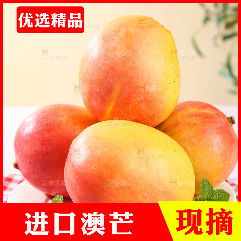 浅底上的澳芒