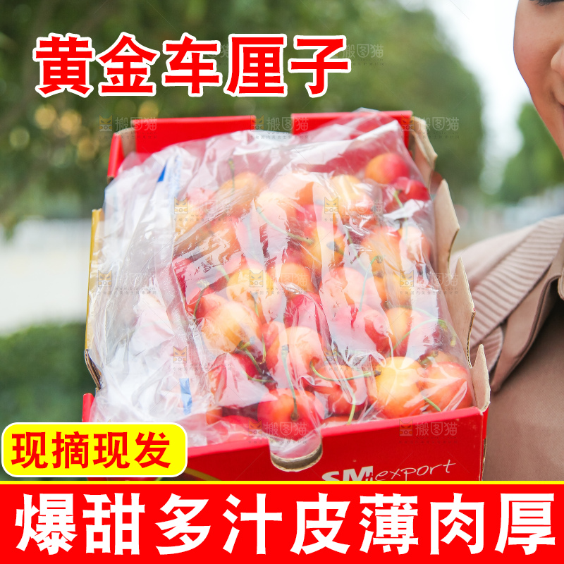 手里拿着黄金车厘子