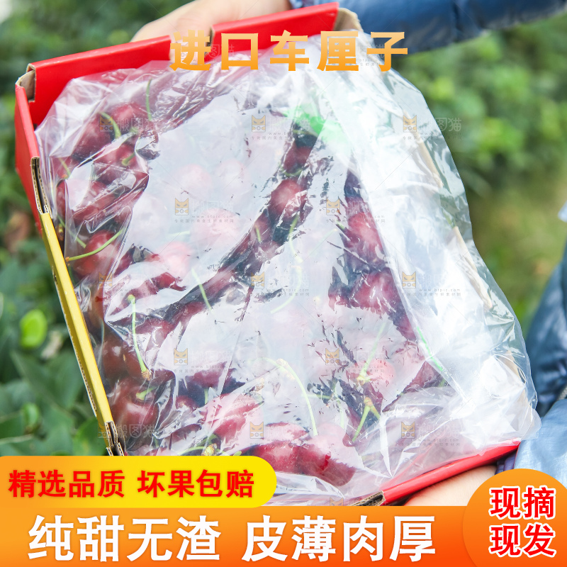 手里拿着智利车厘子