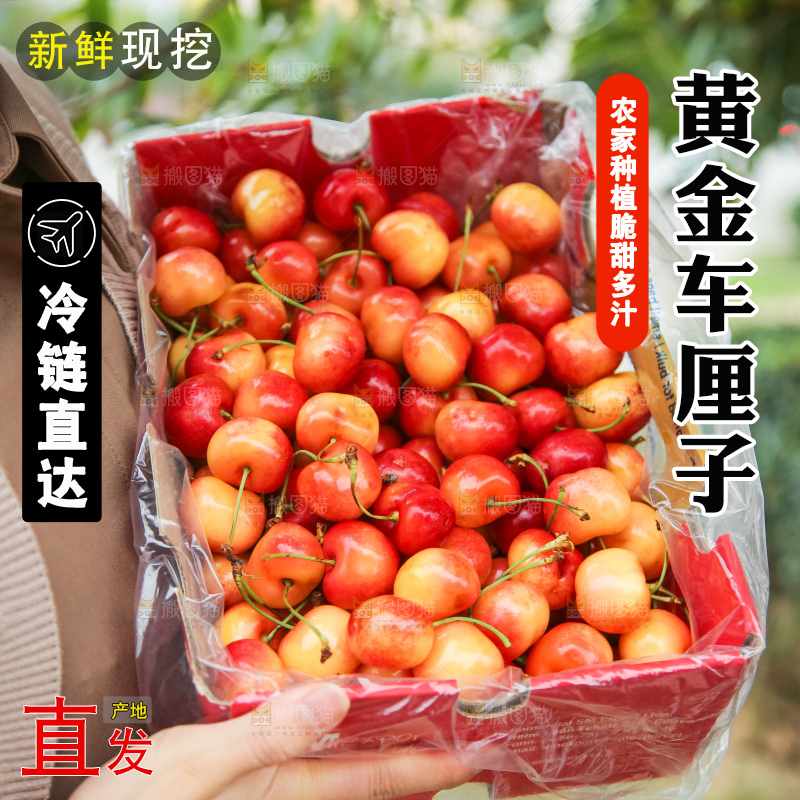 手里拿着黄金车厘子