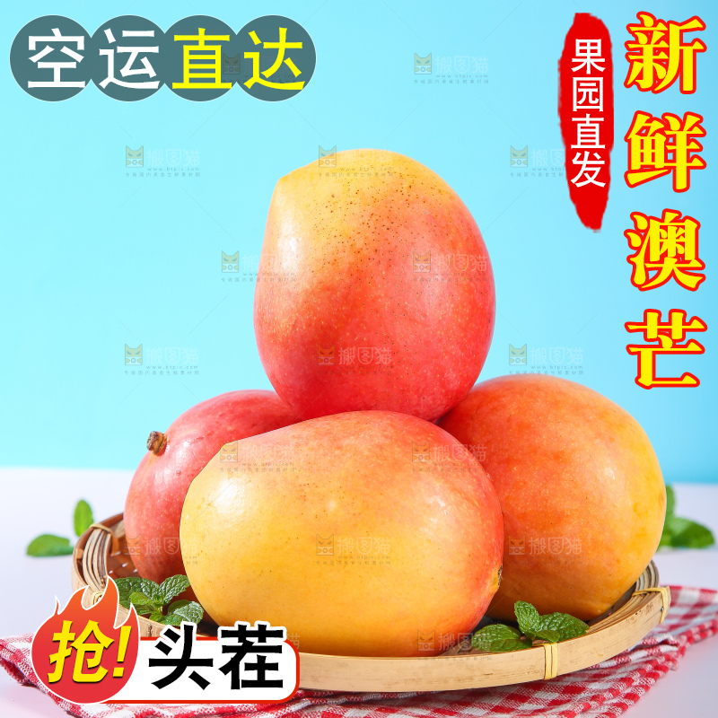 浅底上的澳芒
