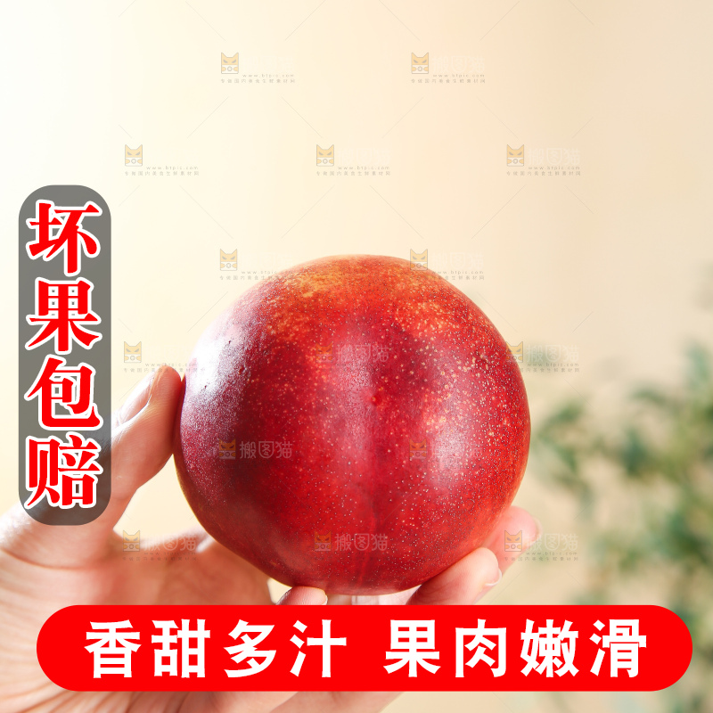 浅底上的澳洲油桃