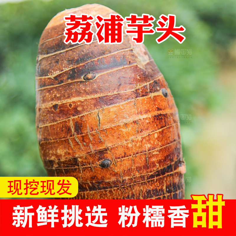 手里拿着荔浦芋头