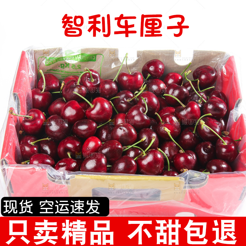白底上的车厘子