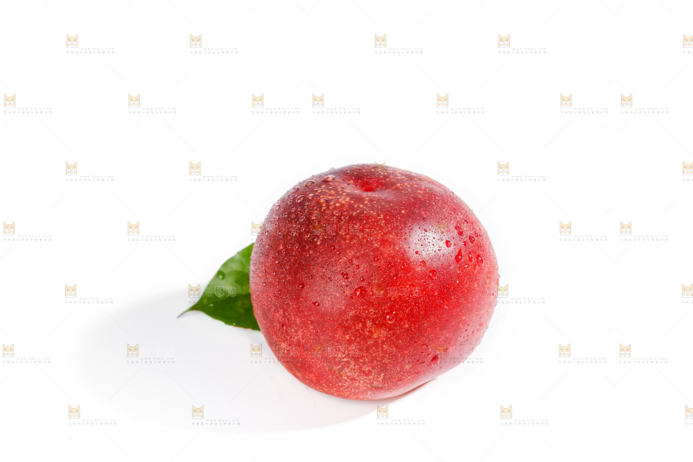 白底上的澳洲油桃