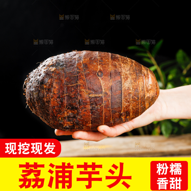 深底上的荔浦芋头