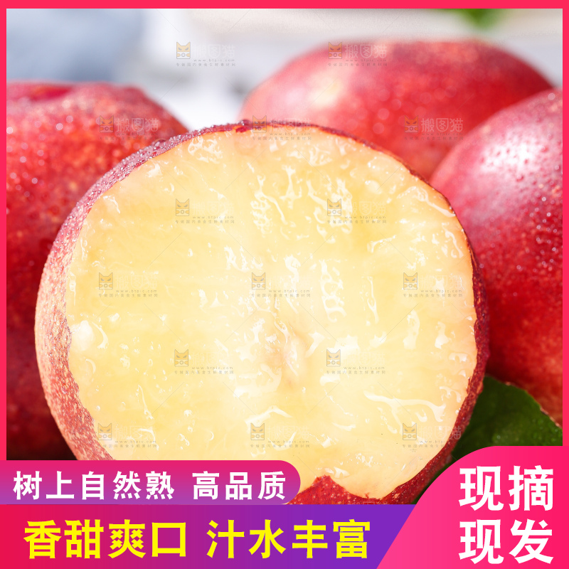浅底上的澳洲油桃