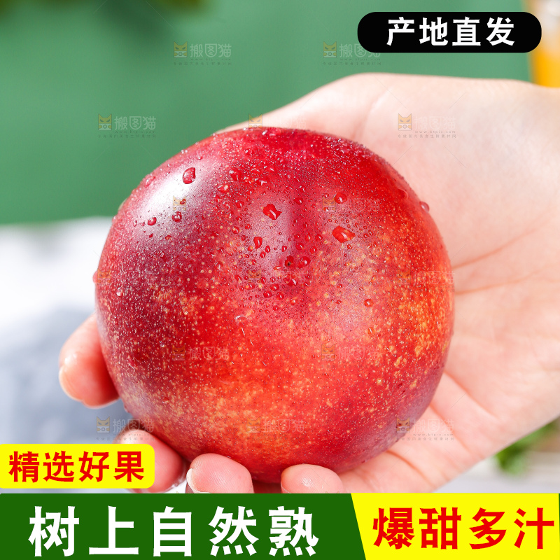 浅底上的澳洲油桃