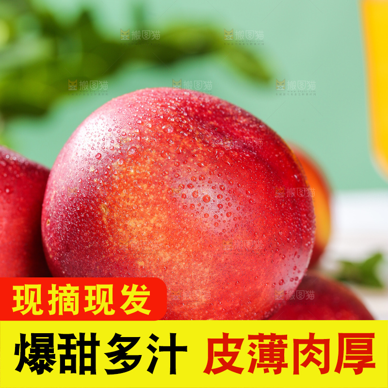 浅底上的澳洲油桃