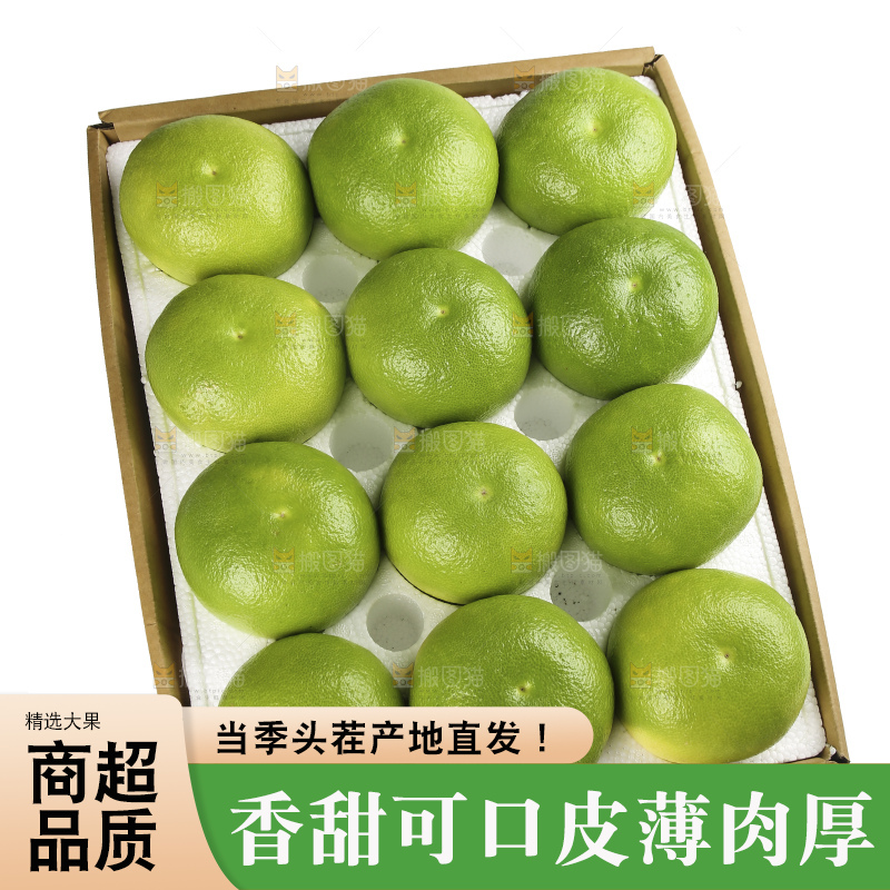 白底上的青柚