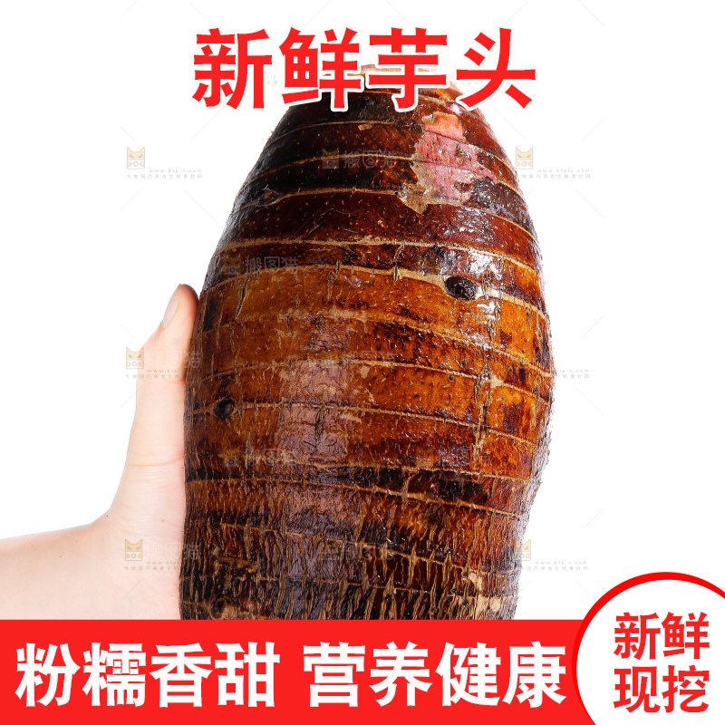 白底上的荔浦芋头