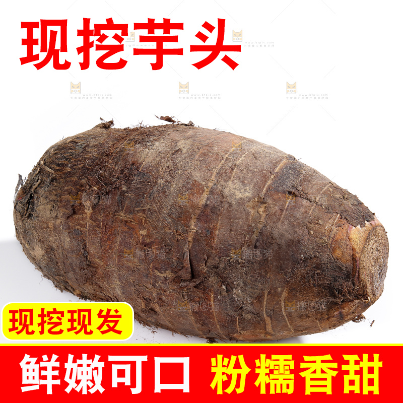 白底上的荔浦芋头