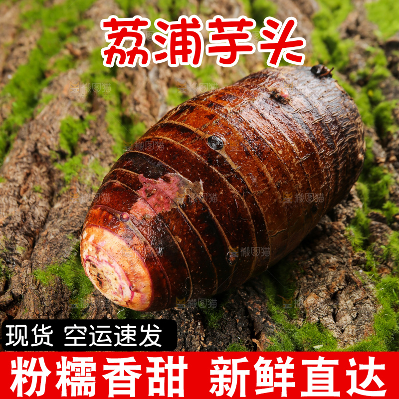 深底上的荔浦芋头