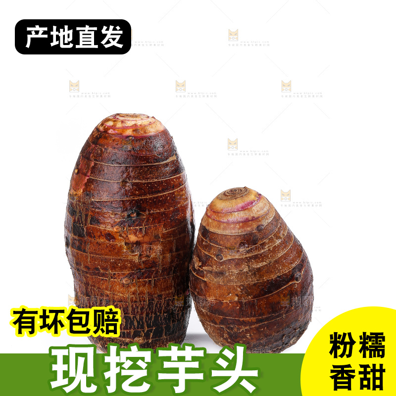 白底上的荔浦芋头