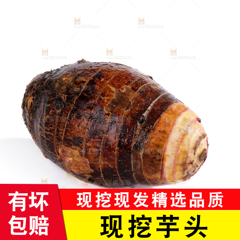 白底上的荔浦芋头