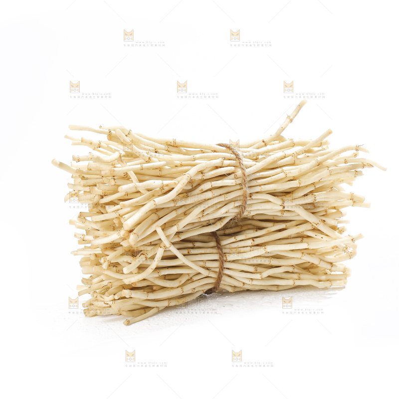 白底上的折耳根