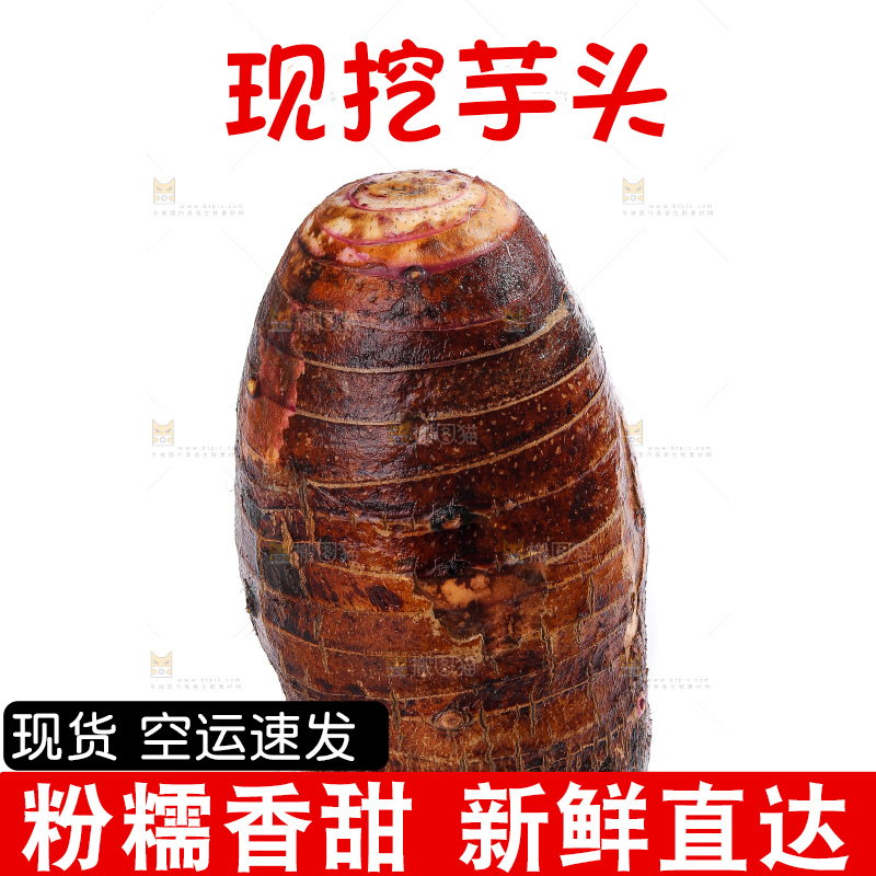 白底上的荔浦芋头