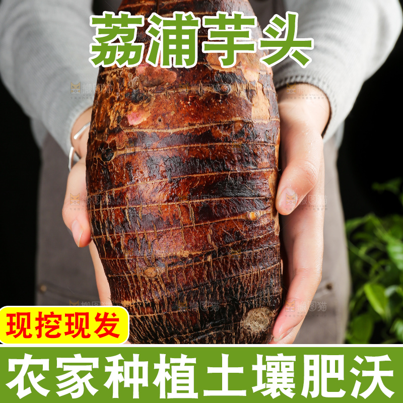 深底上的荔浦芋头