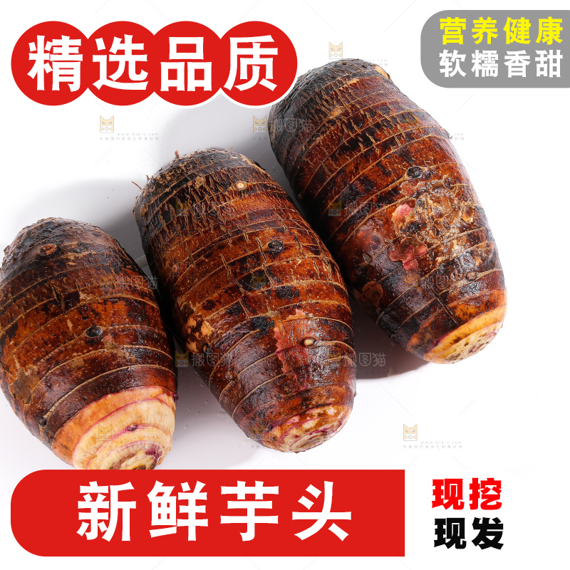 白底上的荔浦芋头