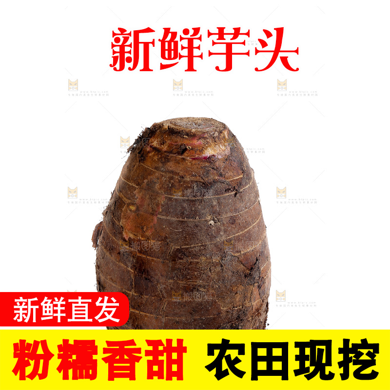 白底上的荔浦芋头