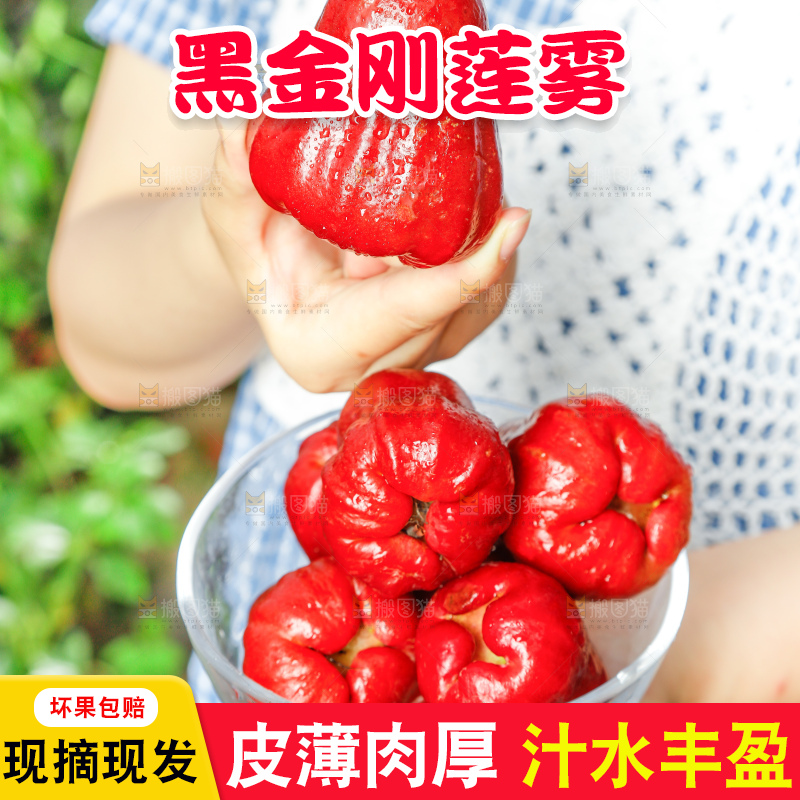 手里拿着莲雾