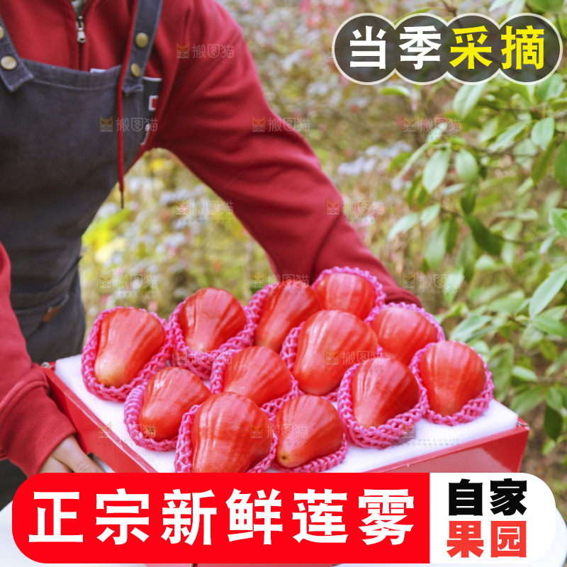 手里拿着莲雾