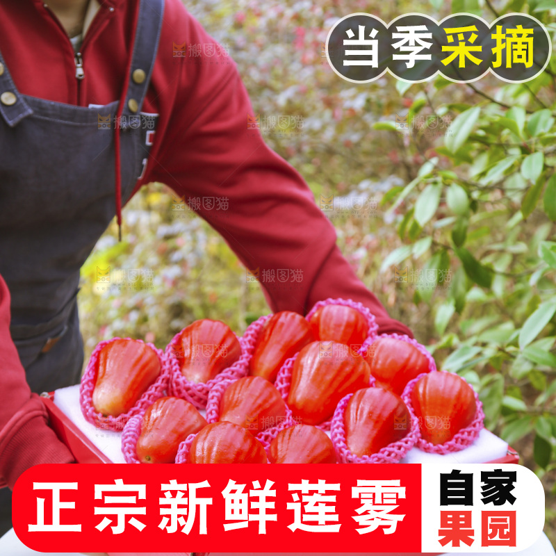 手里拿着莲雾