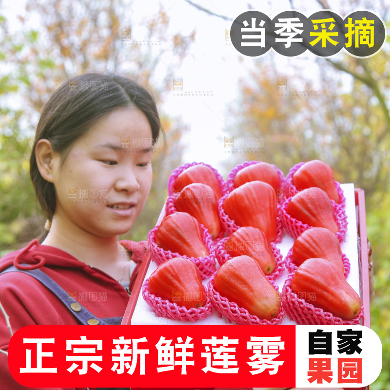 手里拿着莲雾