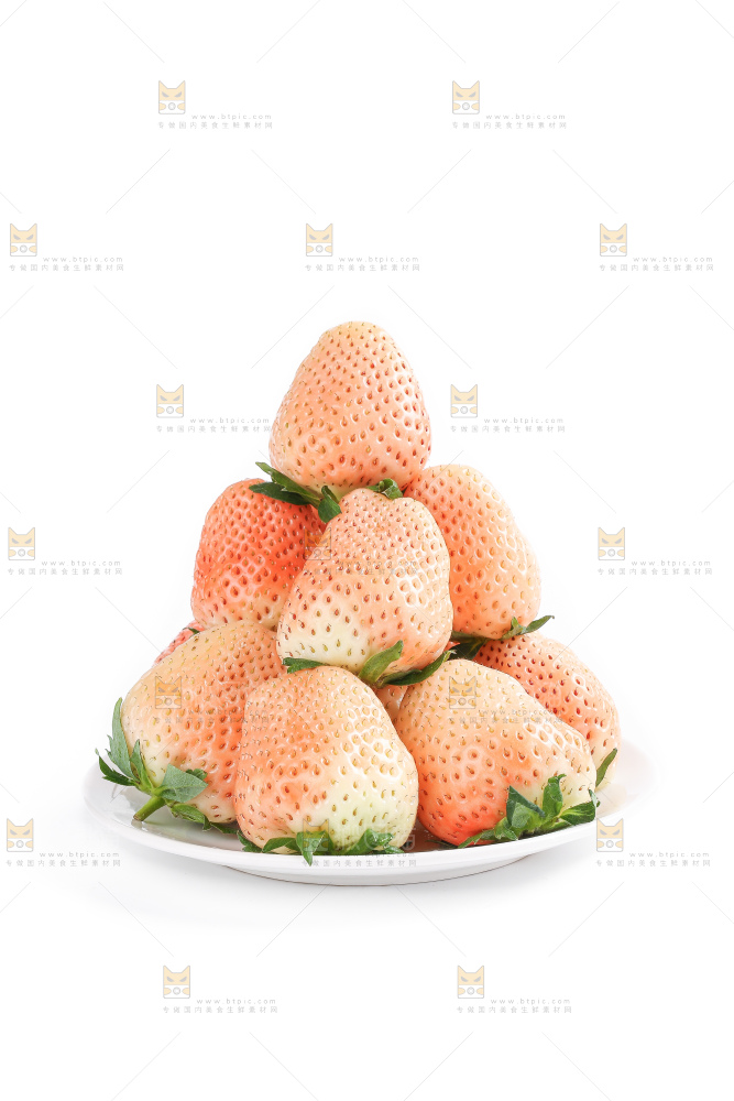 白底上的淡雪草莓