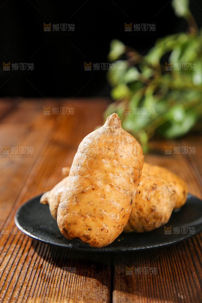 木底上的天麻