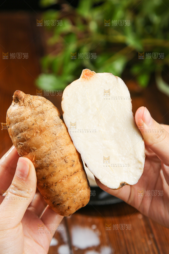 木底上的天麻