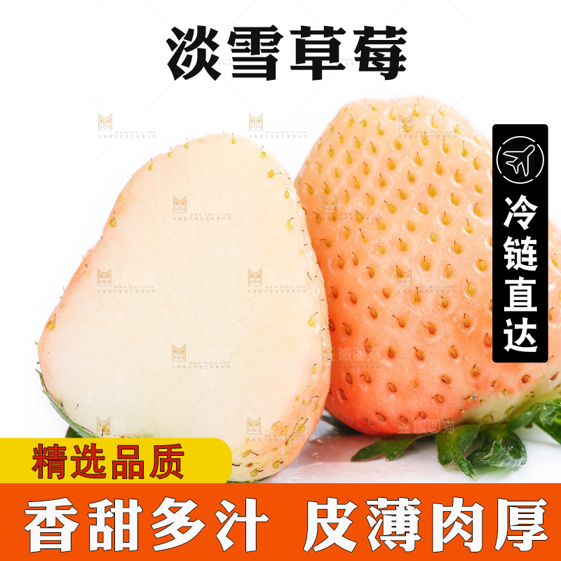 白底上的淡雪草莓